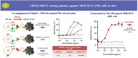 ncr2|nkce.